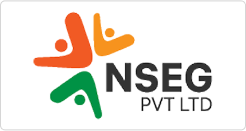 NSEG Pvt. Ltd Logo