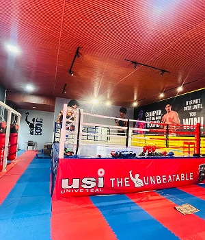 Boxing Arena